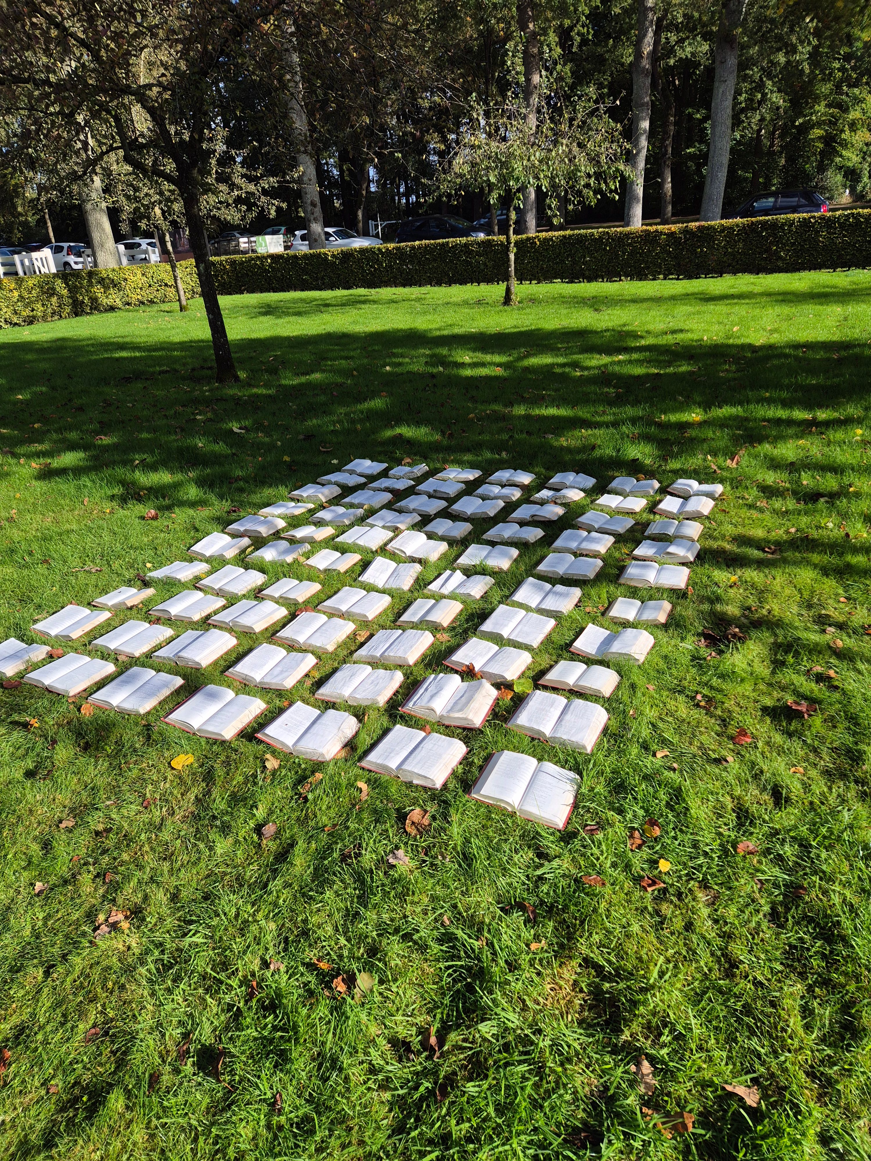 20241013_111651 bakkeveen 3